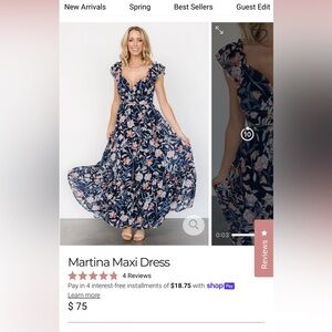 NWT maxi dress